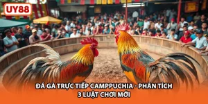 Đá Gà Trực Tiếp Campuchia UY88 - Phân Tích 3 Luật Chơi Mới