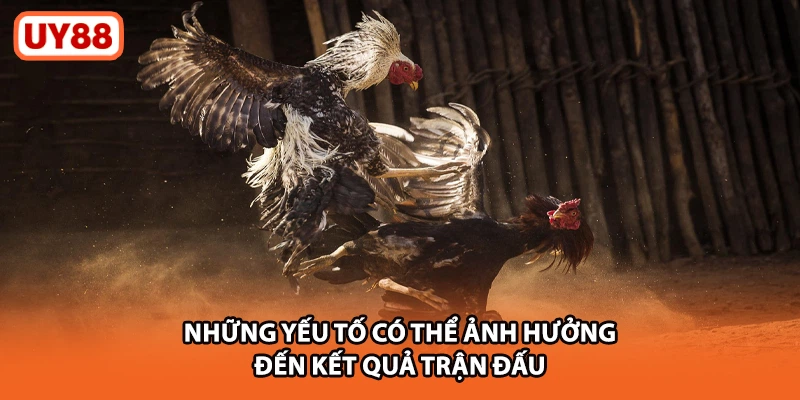 Những yếu tố có thể ảnh hưởng đến kết quả trận đấu