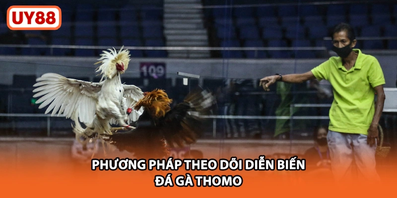 Phương pháp theo dõi diễn biến đá gà Thomo UY88