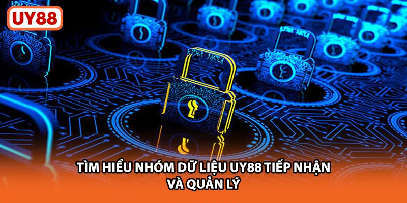 Tìm hiểu nhóm dữ liệu UY88 tiếp nhận và quản lý