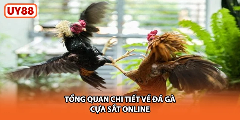 Tổng quan chi tiết về đá gà cựa sắt online